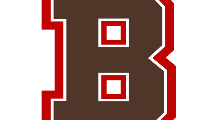 Brown Bears